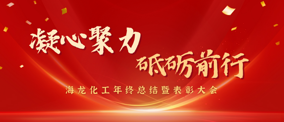 表彰 | 凝心聚力，砥礪前行，海龍化工年終總結(jié)暨表彰大會圓滿舉行
